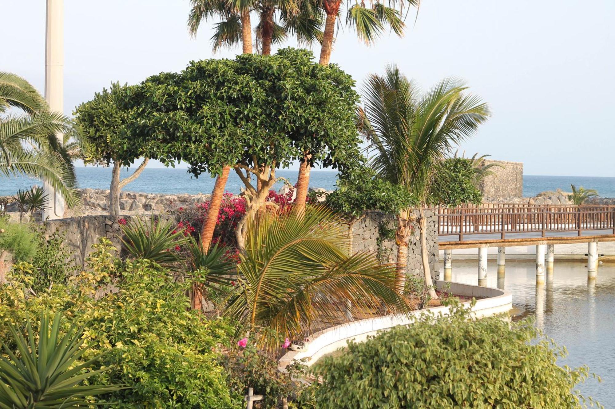 Maison Vue Mer Avec Piscine กาเลตาเดฟุสเต ภายนอก รูปภาพ